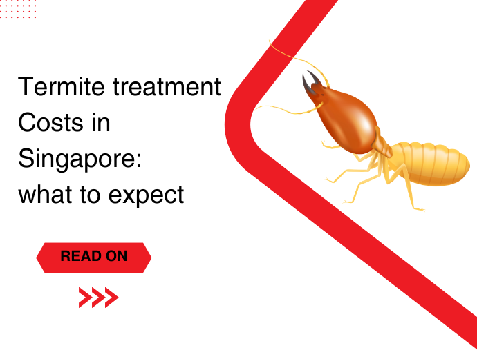 Termite Treatment Costs in Singapore What to Expect